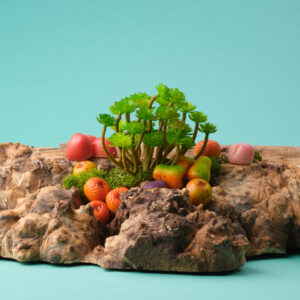 marzipan fruits