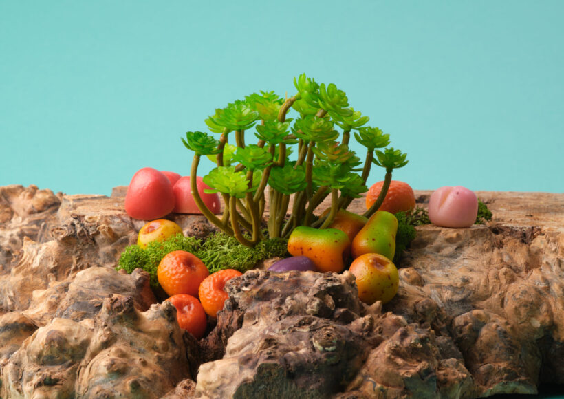 The Taste of Gratitude