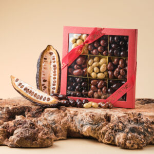 Nuts in Chocolate