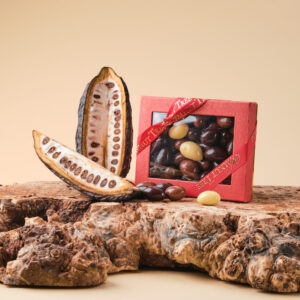 Brazil Nuts in Chocolate