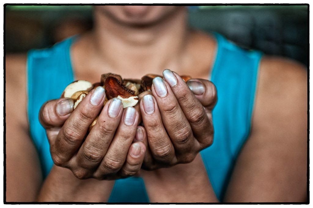 Brazil Nuts