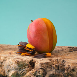 Mango Dipped in Dark Chocolate