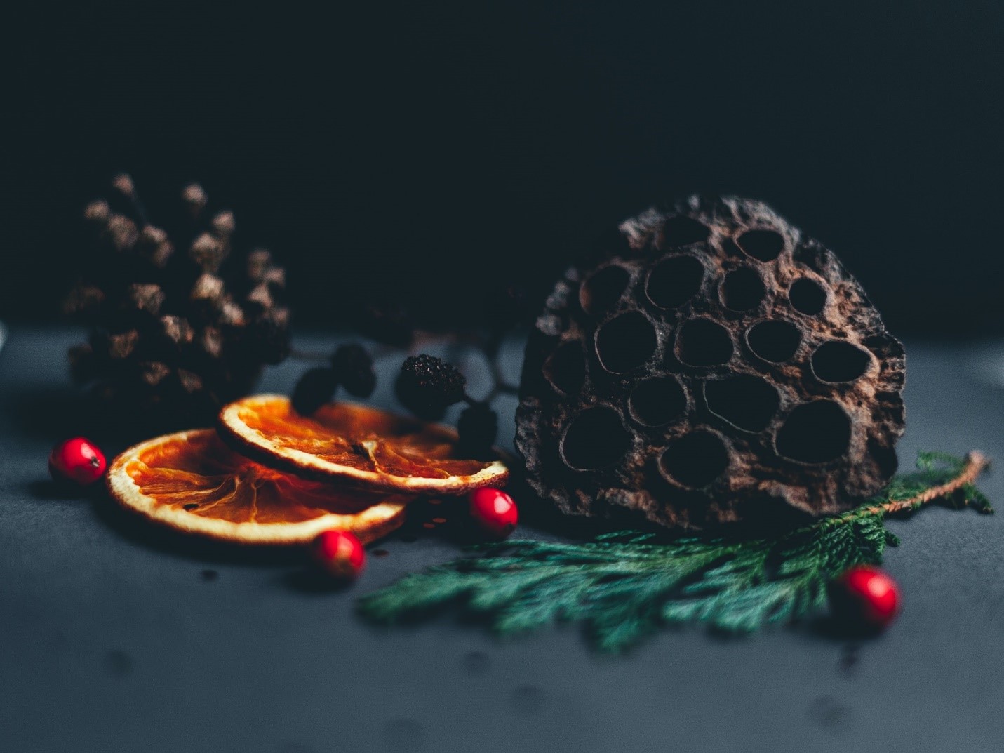 edible Christmas decorations