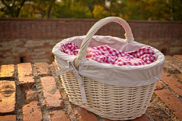 Picnicking in August