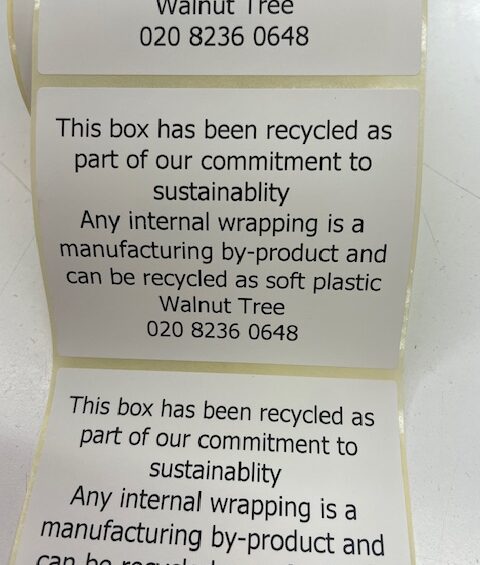 Recycling and Walnut Tree in 2024